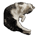 spin~2 Discord Emoji