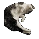 spin
