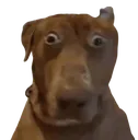 Vord