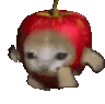 appleCat