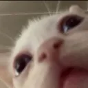 emoji_6