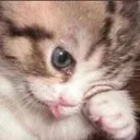 Cry Cry