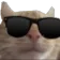 cat_boss Discord Emoji