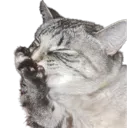 Teehee