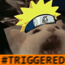 CatNaruto Discord Emoji