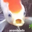 waw