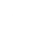 Cleaner