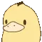 duckspin