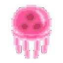 jellyfish2