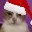 9969christmascatstare