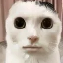 __