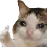 crythumbs