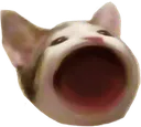 Popcat popcat Discord Emoji