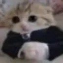 hamborger hamborger