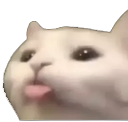 FR_Blep Discord emoji