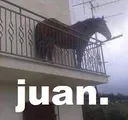 juan88