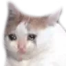 depression