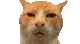 huh huh
