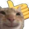 thumbsUpCat