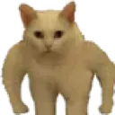 catstrong Discord Emoji