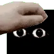 JimPet