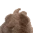 bunnyvibin