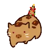 aecookiecat