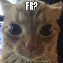 CIforreal CIforreal