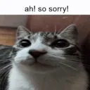 ah_so_sorry