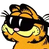 GarfCool2