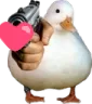 DuckHeart
