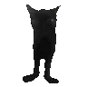 kat