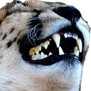 emoji_70