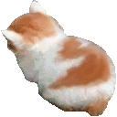 Cozy Cat Discord Emoji