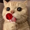 emoji_48