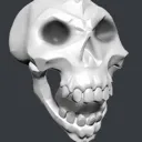 wtfskull
