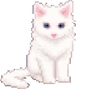kitten2 Discord Emoji