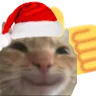thumbsupcatC