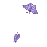 1050125779167629362