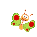 butterfly
