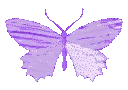 9808purplebutterflyholo