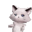 w_mrmeowmeow