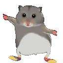 HamsterDisco