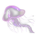 purple_jellyfish Discord emoji