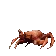 CrabRave