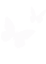 1Abutterflies