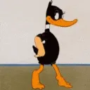 daffyduck