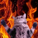 leiabigfire