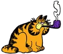 GARFIELD