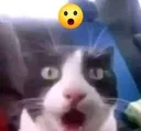 1667855520007